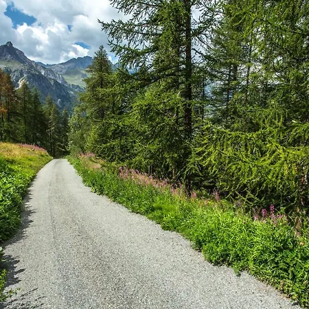 Hellochalet - Chalet D'alpage Larose - A Wild Back Mountain Escape, Large Sunny Garden And Matterhorn Views 木屋 *